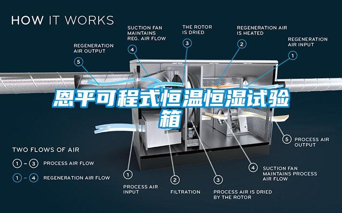 恩平可程式恒溫恒濕試驗(yàn)箱