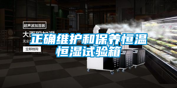 正確維護和保養恒溫恒濕試驗箱