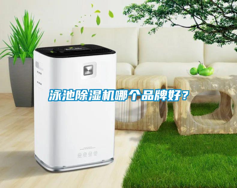 泳池除濕機(jī)哪個品牌好？