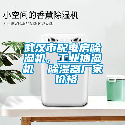 武漢市配電房除濕機(jī)，工業(yè)抽濕機(jī)  除濕器廠家 價格