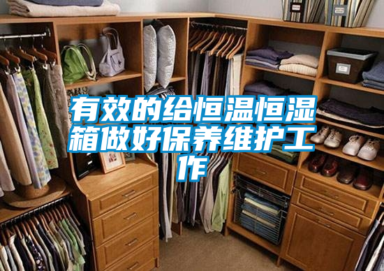 有效的給恒溫恒濕箱做好保養(yǎng)維護(hù)工作
