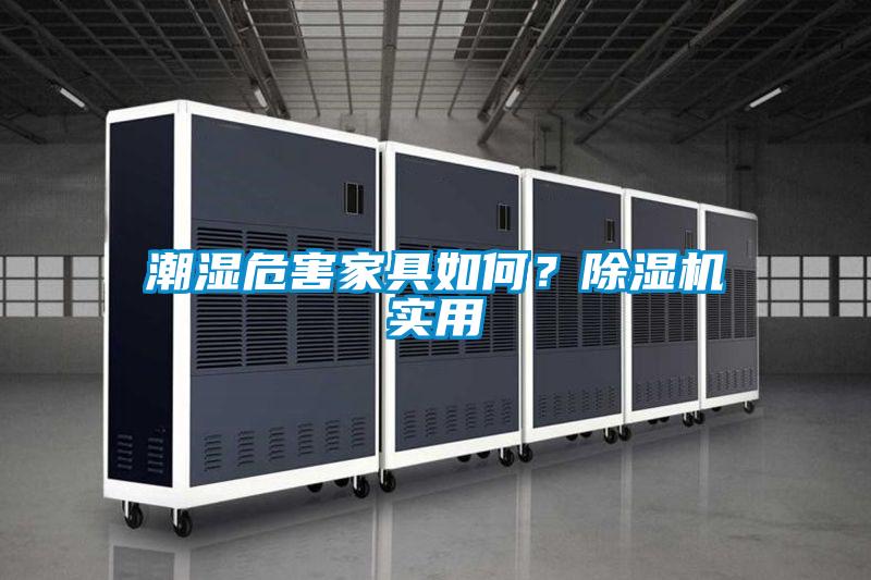 潮濕危害家具如何？除濕機實用