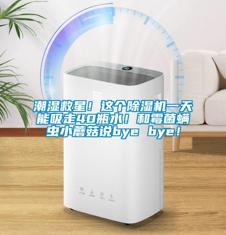 潮濕救星！這個除濕機一天能吸走40瓶水！和霉菌螨蟲小蘑菇說bye bye！
