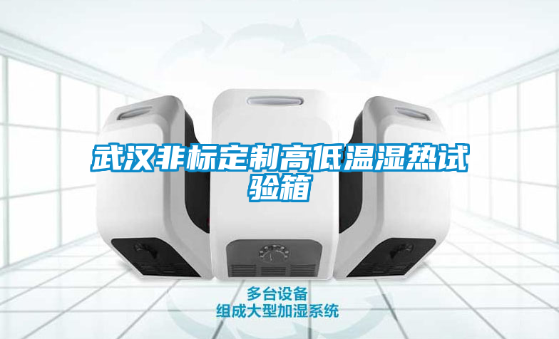武漢非標定制高低溫濕熱試驗箱
