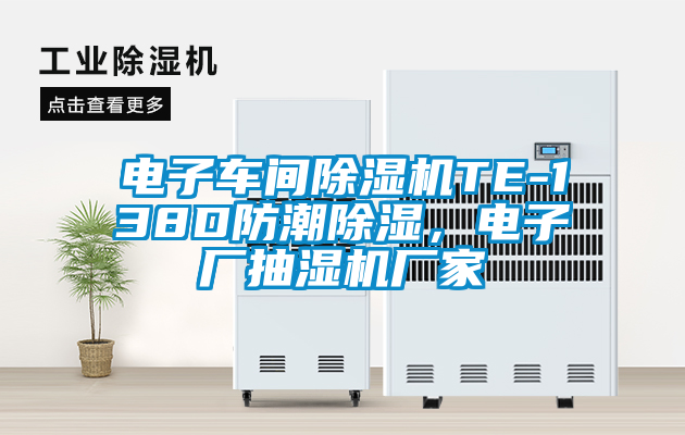 電子車間除濕機TE-138D防潮除濕，電子廠抽濕機廠家