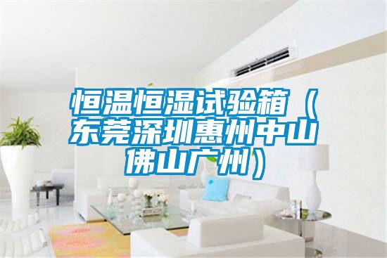 恒溫恒濕試驗箱（東莞深圳惠州中山佛山廣州）