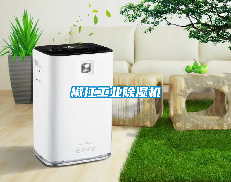 椒江工業除濕機