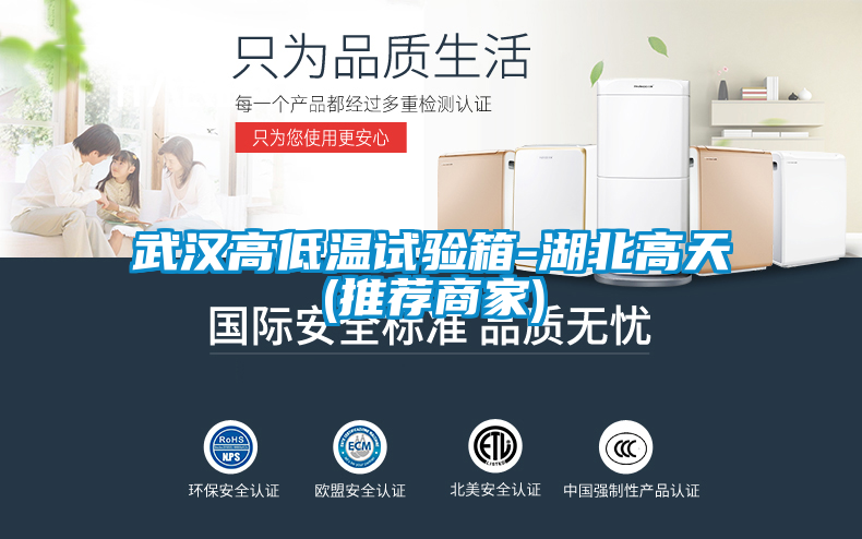 武漢高低溫試驗箱-湖北高天(推薦商家)