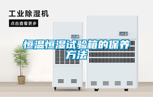 恒溫恒濕試驗箱的保養(yǎng)方法