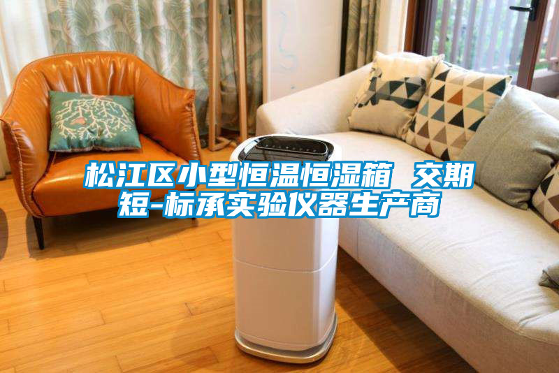 松江區小型恒溫恒濕箱 交期短-標承實驗儀器生產商