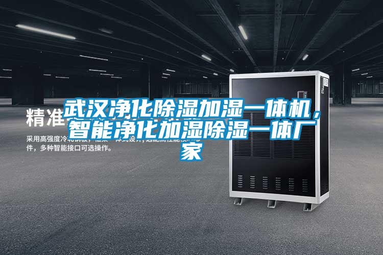 武漢凈化除濕加濕一體機(jī)，智能凈化加濕除濕一體廠家