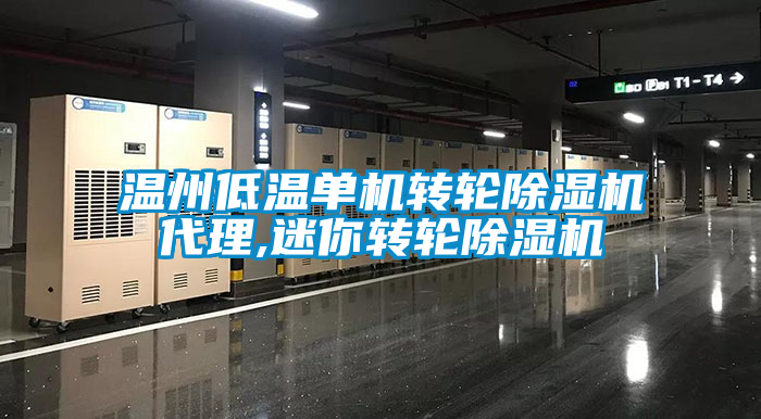 溫州低溫單機轉輪除濕機代理,迷你轉輪除濕機