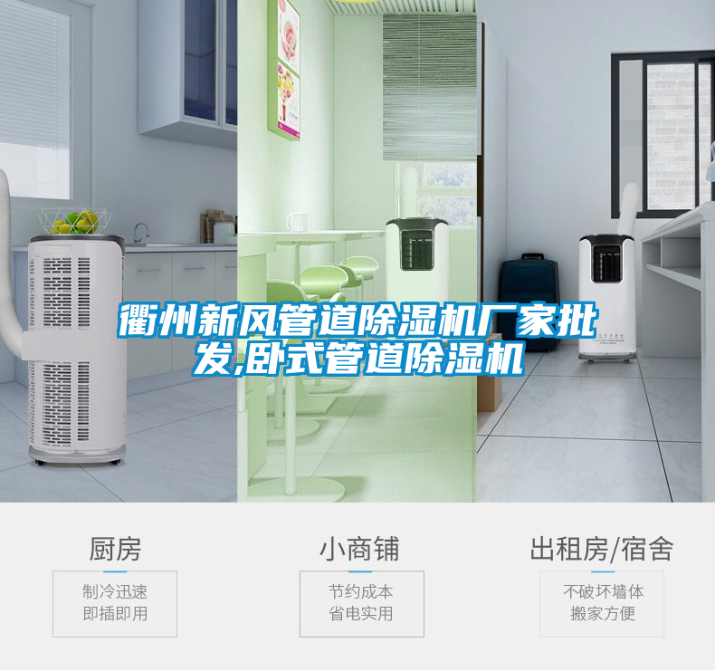 衢州新風(fēng)管道除濕機(jī)廠家批發(fā),臥式管道除濕機(jī)