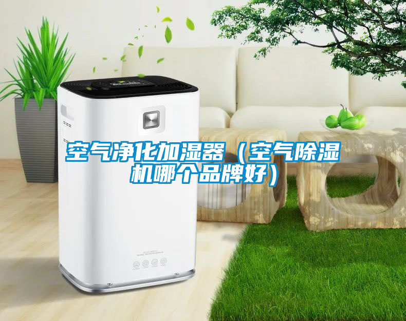 空氣凈化加濕器（空氣除濕機(jī)哪個品牌好）
