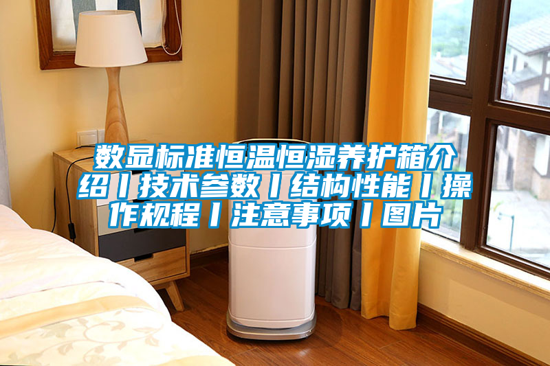數顯標準恒溫恒濕養護箱介紹丨技術參數丨結構性能丨操作規程丨注意事項丨圖片