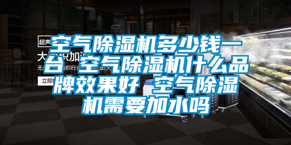 空氣除濕機(jī)多少錢一臺(tái) 空氣除濕機(jī)什么品牌效果好 空氣除濕機(jī)需要加水嗎