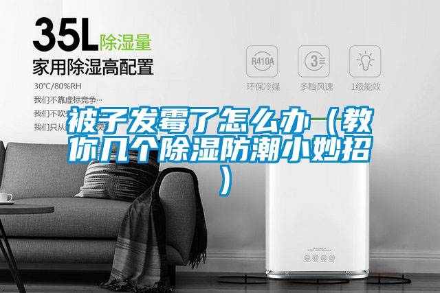 被子發(fā)霉了怎么辦（教你幾個(gè)除濕防潮小妙招）