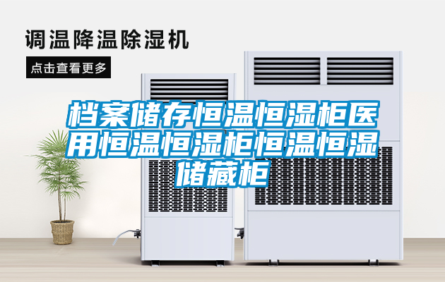 檔案儲存恒溫恒濕柜醫用恒溫恒濕柜恒溫恒濕儲藏柜