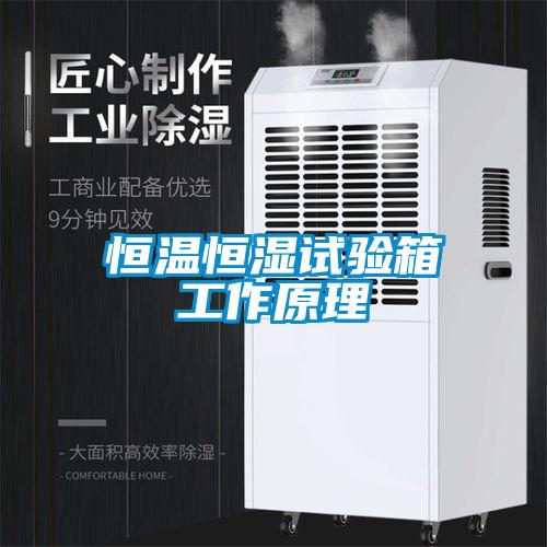 恒溫恒濕試驗箱工作原理