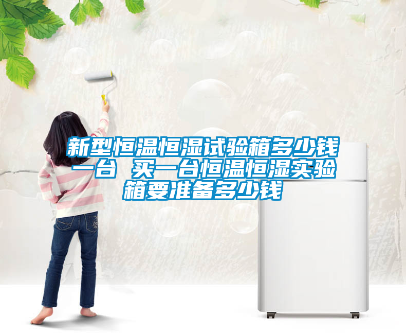 新型恒溫恒濕試驗箱多少錢一臺 買一臺恒溫恒濕實驗箱要準備多少錢