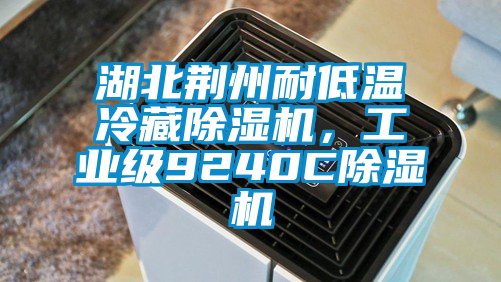 湖北荊州耐低溫冷藏除濕機(jī)，工業(yè)級9240C除濕機(jī)