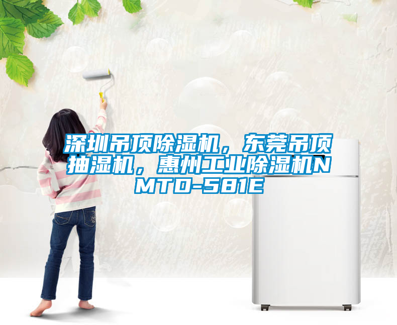 深圳吊頂除濕機，東莞吊頂抽濕機，惠州工業除濕機NMTD-581E