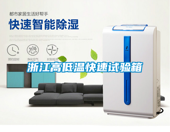 浙江高低溫快速試驗箱