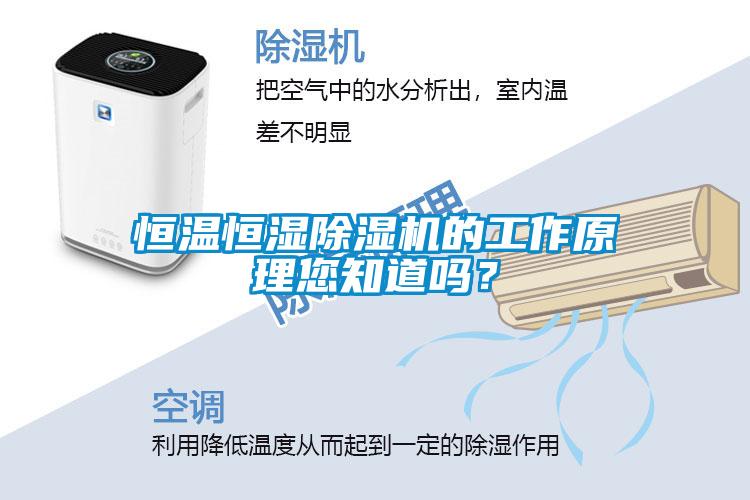 恒溫恒濕除濕機的工作原理您知道嗎？