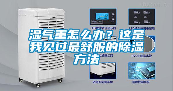 濕氣重怎么辦？這是我見過最舒服的除濕方法