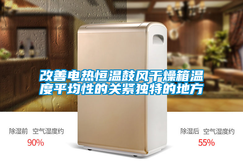 改善電熱恒溫鼓風干燥箱溫度平均性的關緊獨特的地方