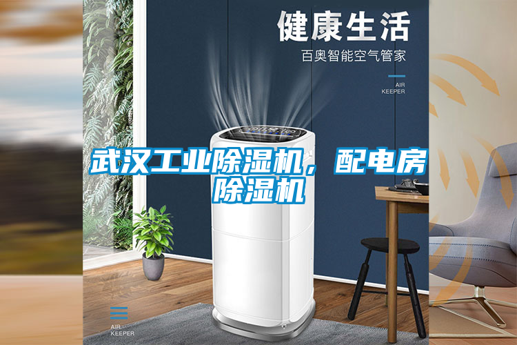 武漢工業除濕機，配電房除濕機
