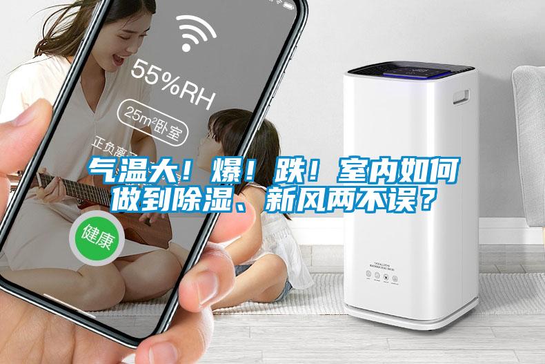 氣溫大！爆！跌！室內如何做到除濕、新風兩不誤？