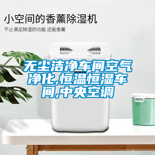 無塵潔凈車間空氣凈化,恒溫恒濕車間,中央空調