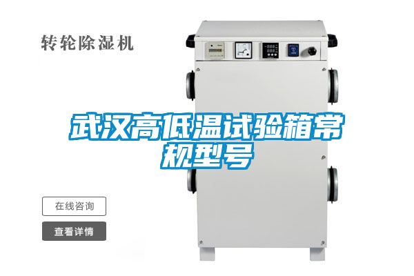 武漢高低溫試驗箱常規型號