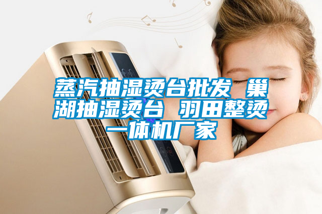 蒸汽抽濕燙臺批發(fā) 巢湖抽濕燙臺 羽田整燙一體機廠家
