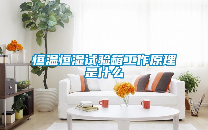 恒溫恒濕試驗箱工作原理是什么