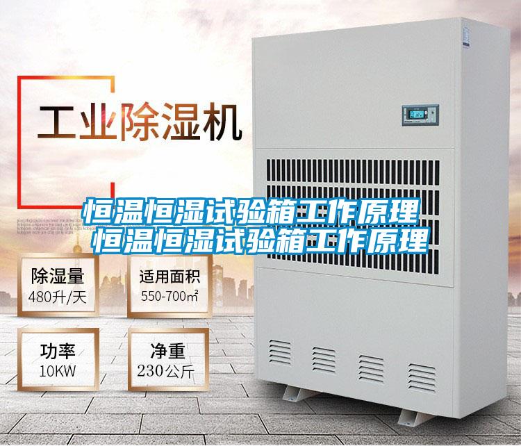 恒溫恒濕試驗箱工作原理 恒溫恒濕試驗箱工作原理