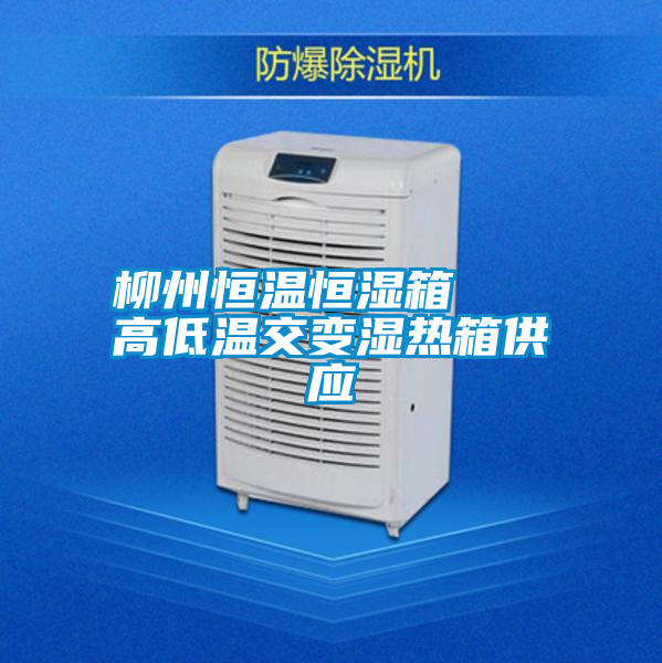 柳州恒溫恒濕箱   高低溫交變濕熱箱供應