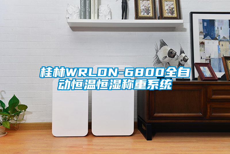 桂林WRLDN-6800全自動恒溫恒濕稱重系統
