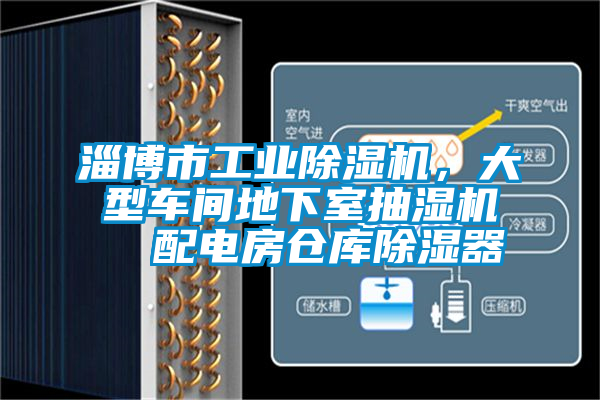 淄博市工業除濕機，大型車間地下室抽濕機  配電房倉庫除濕器