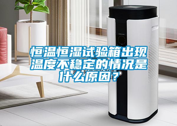 恒溫恒濕試驗箱出現溫度不穩定的情況是什么原因？