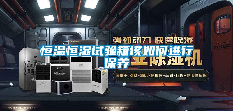 恒溫恒濕試驗箱該如何進行保養(yǎng)