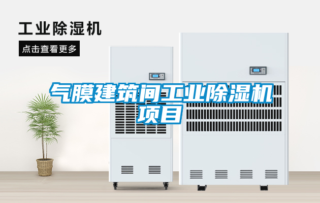 氣膜建筑間工業除濕機項目