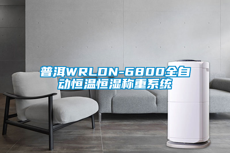 普洱WRLDN-6800全自動恒溫恒濕稱重系統