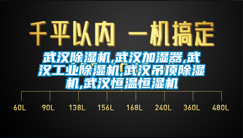 武漢除濕機,武漢加濕器,武漢工業除濕機,武漢吊頂除濕機,武漢恒溫恒濕機