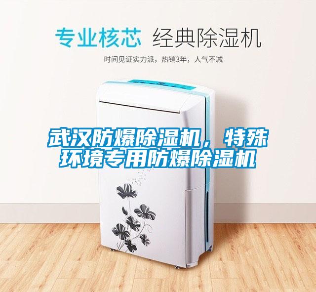 武漢防爆除濕機，特殊環境專用防爆除濕機
