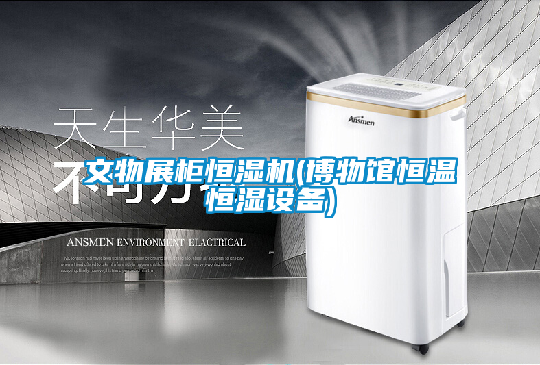 文物展柜恒濕機(博物館恒溫恒濕設備)