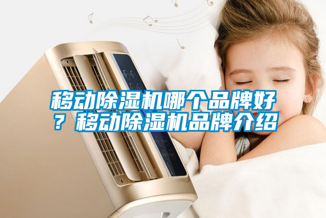移動除濕機(jī)哪個品牌好？移動除濕機(jī)品牌介紹