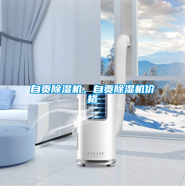 自貢除濕機(jī)，自貢除濕機(jī)價(jià)格
