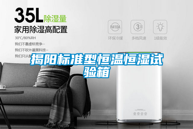 揭陽標準型恒溫恒濕試驗箱